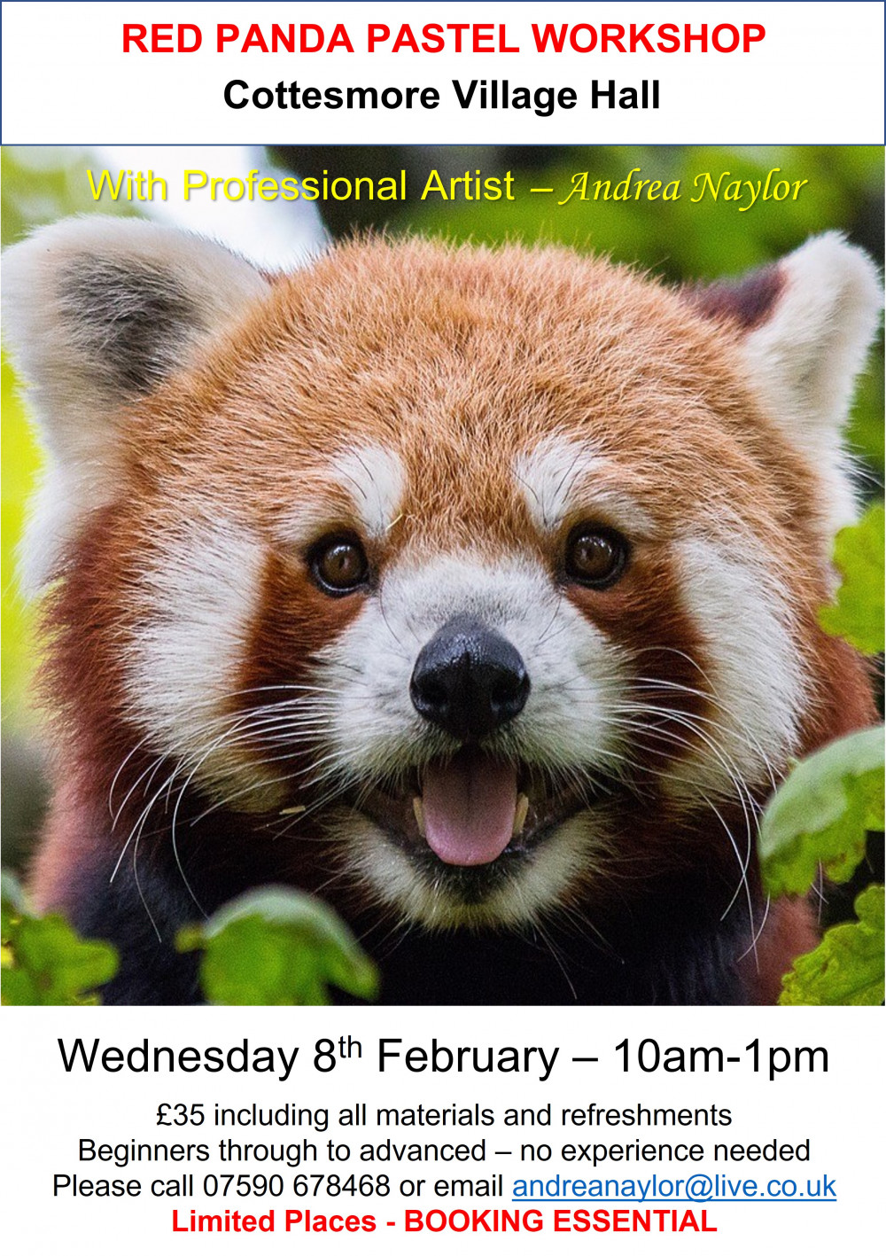 Pastel Workshop flyer Pastel Workshop flyer