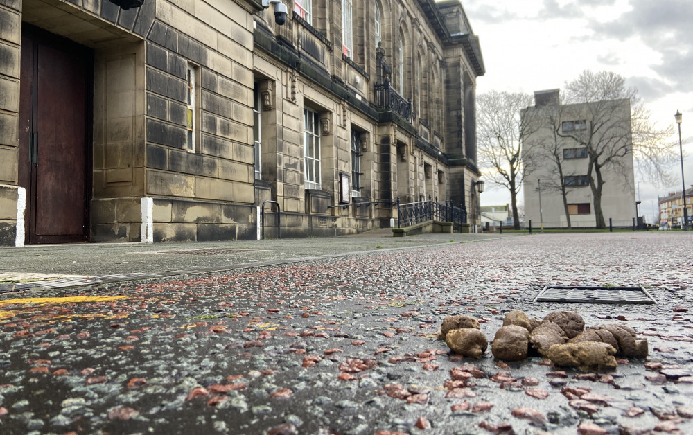 Even Wallasey Town Hall is not safe! Picture by Ed Barnes