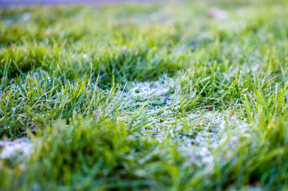 Falmouth Town vs Barnstaple Town postponed 