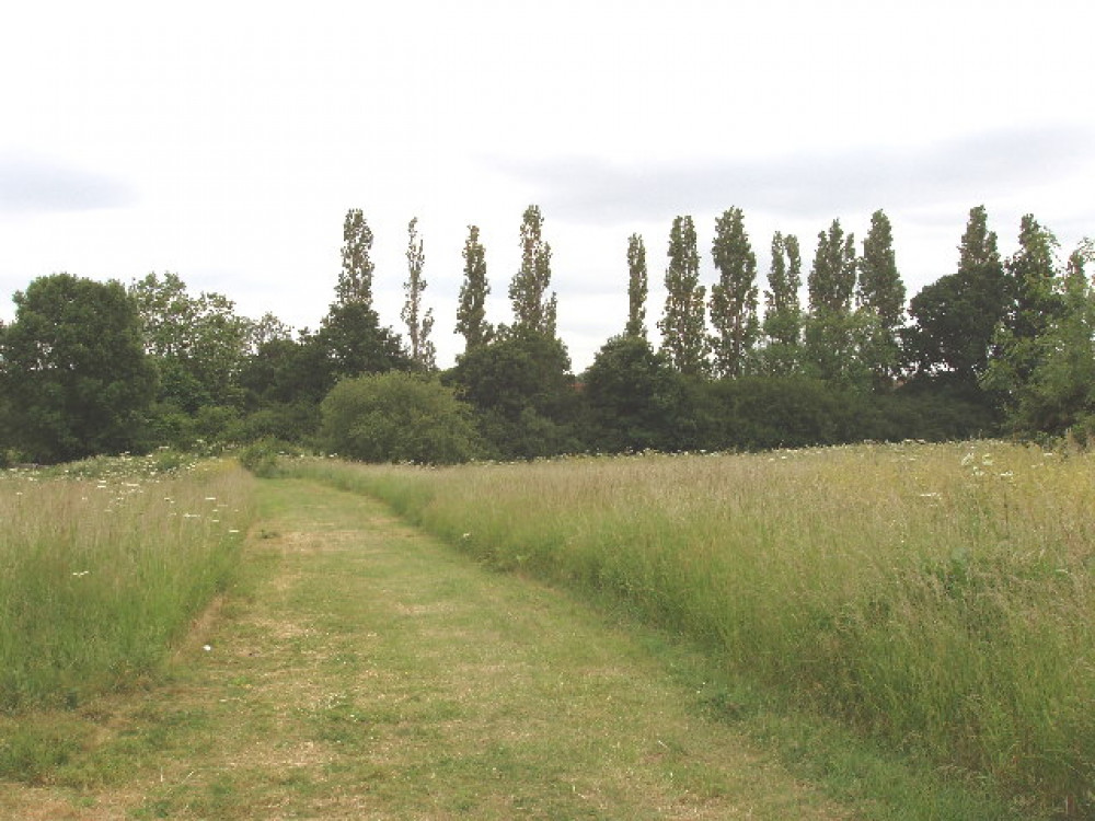 "Once we build on Green Belt we will never get it back.”- Ealing Friend's of the Earth. Photo:  David Hawgood.