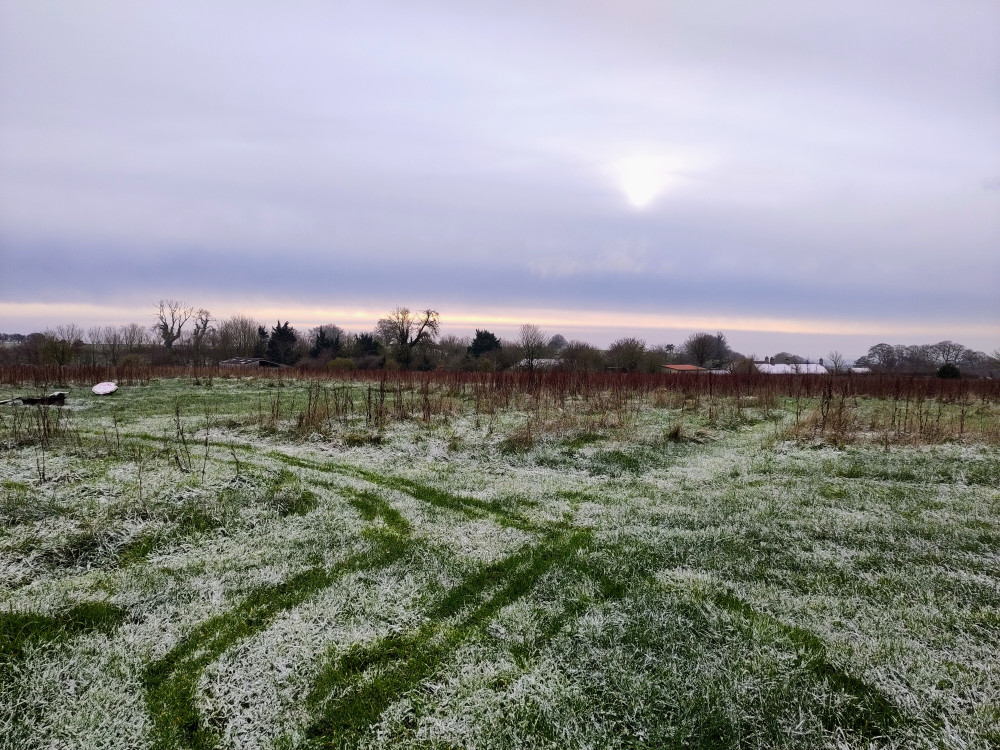 Ed Woods, as the site is currently, before 4000 trees are planted