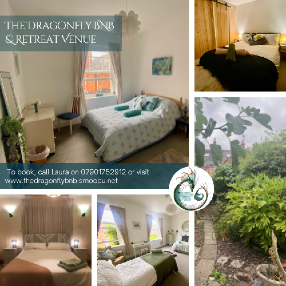 Welcome to the Dragonfly BNB, Glastonbury!