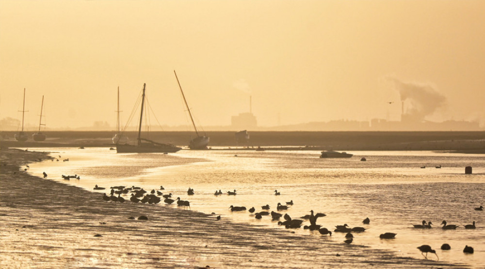 The wetlands on the River Dee