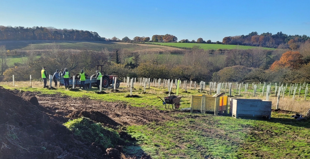 Volunteers mulching new trees