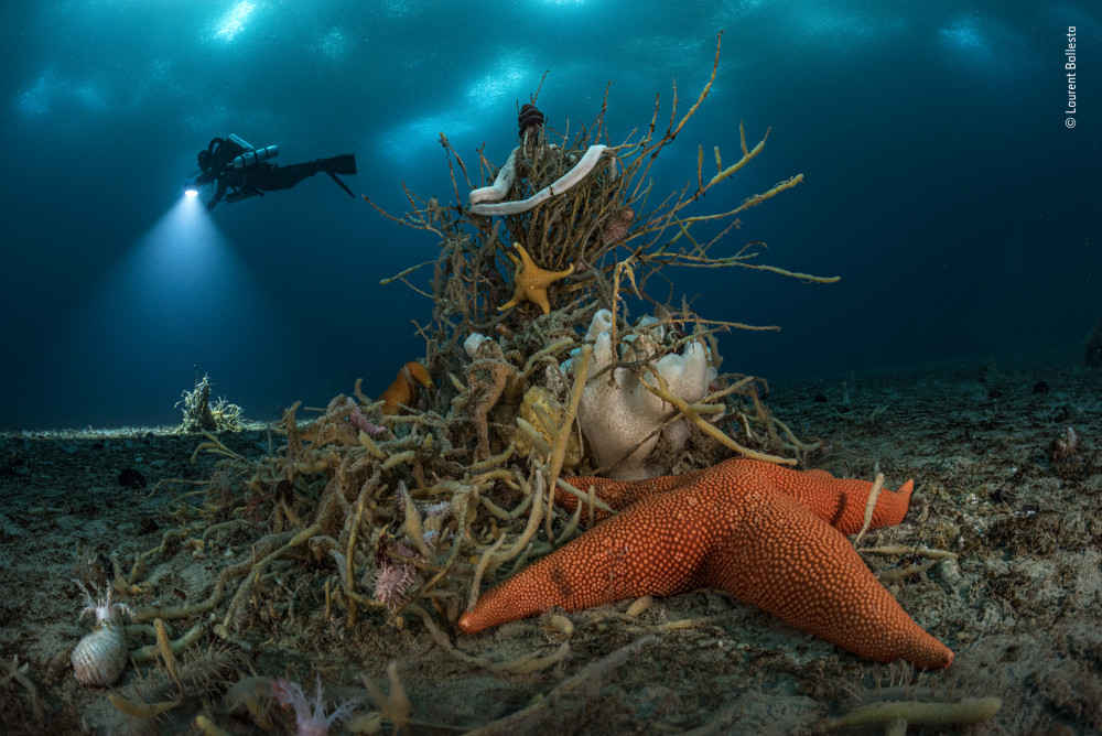 Under Antarctic Ice by Laurent Ballesta