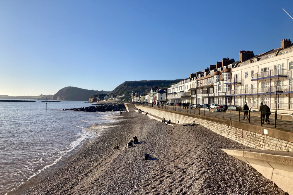 Sidmouth town beach (Nub News/ Will Goddard) Sidmouth town beach (Nub News/ Will Goddard)