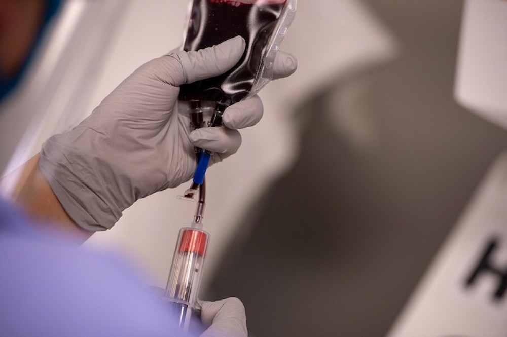 It is estimated 135,000 people need to donate blood in London each year. Photo: Rawpixel. It is estimated 135,000 people need to donate blood in London each year. Photo: Rawpixel.