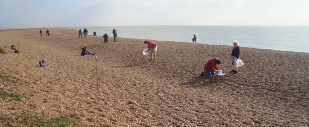 Beach clean (Picture: Gill Moon)