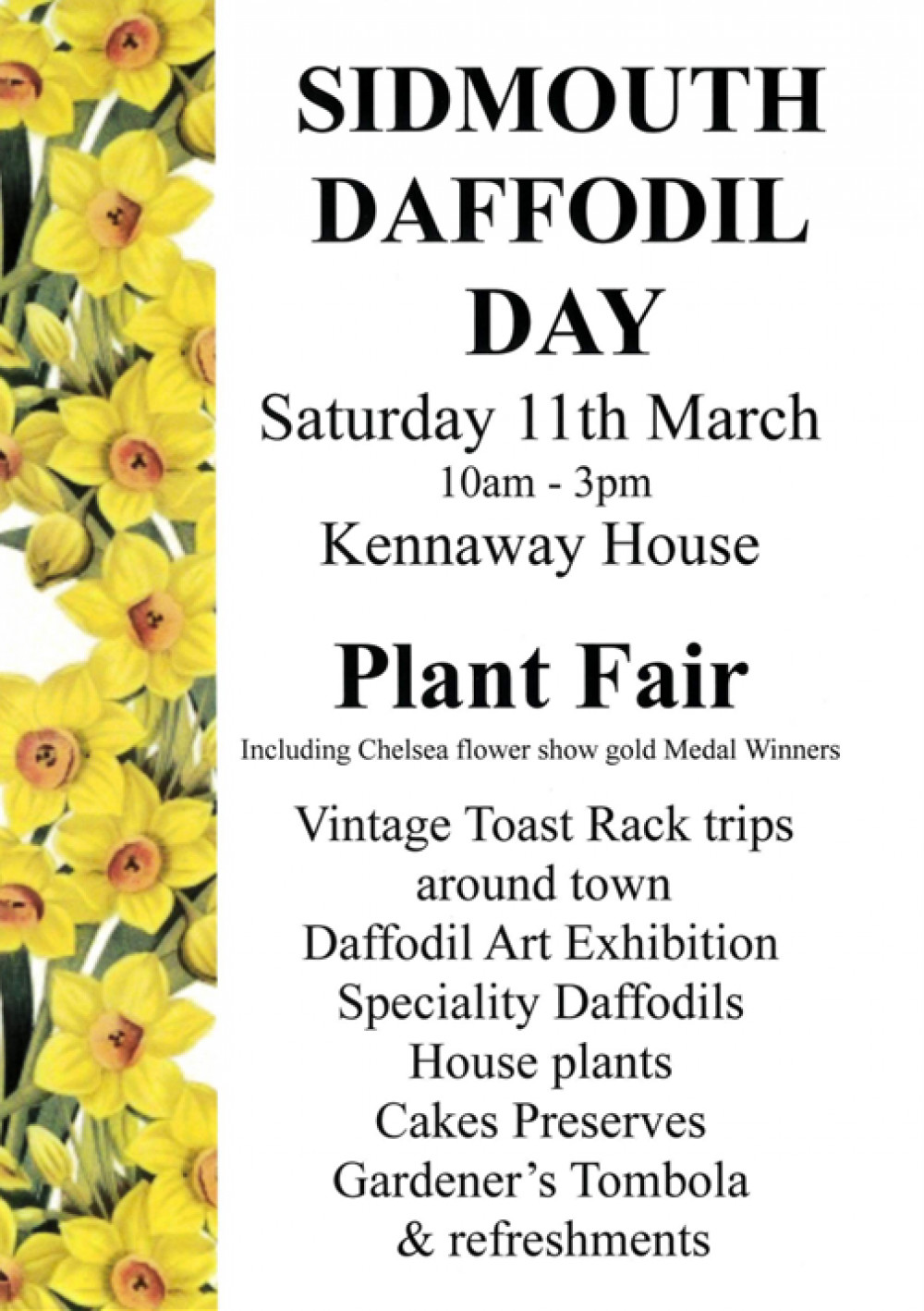 Sidmouth Daffodil Day 