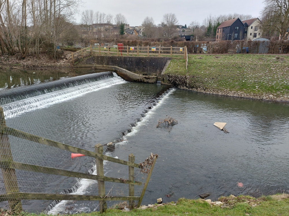 The weir just before a clean up 