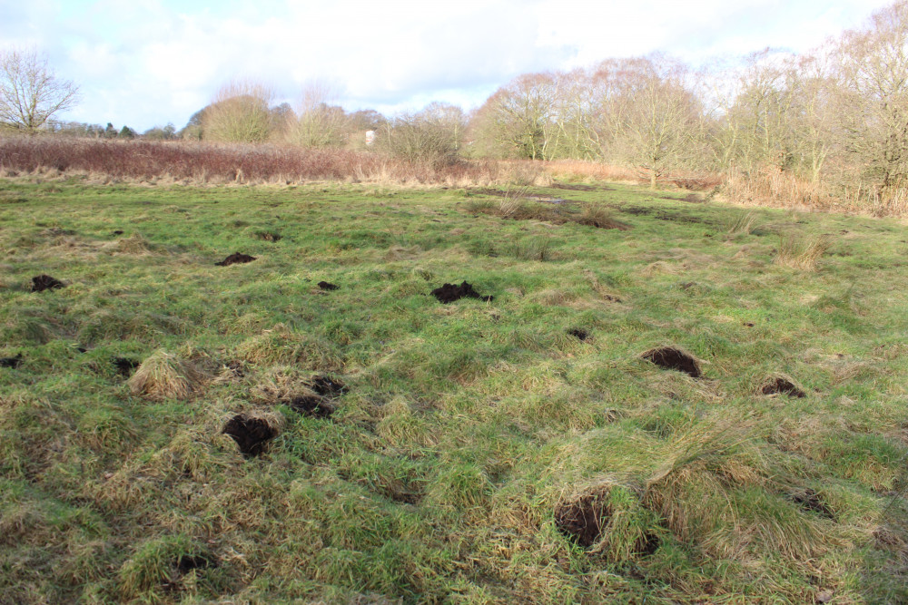 Danes Moss: Peatlands at the site also known as the South Macclesfield Development area. (Image - Macclesfield Nub News)