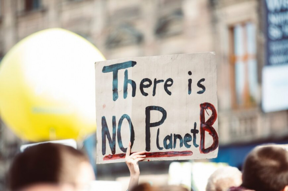 Some Dorset councillors have expressed concerns town and parish councils are not taking enough interest in the climate emergency Some Dorset councillors have expressed concerns town and parish councils are not taking enough interest in the climate emergency