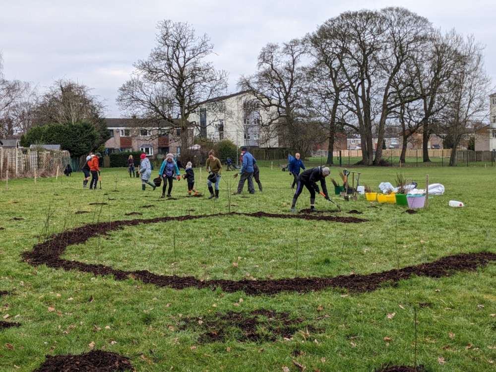 Macc Wild Network plan to plant even more trees at another Macclesfield school next month. 