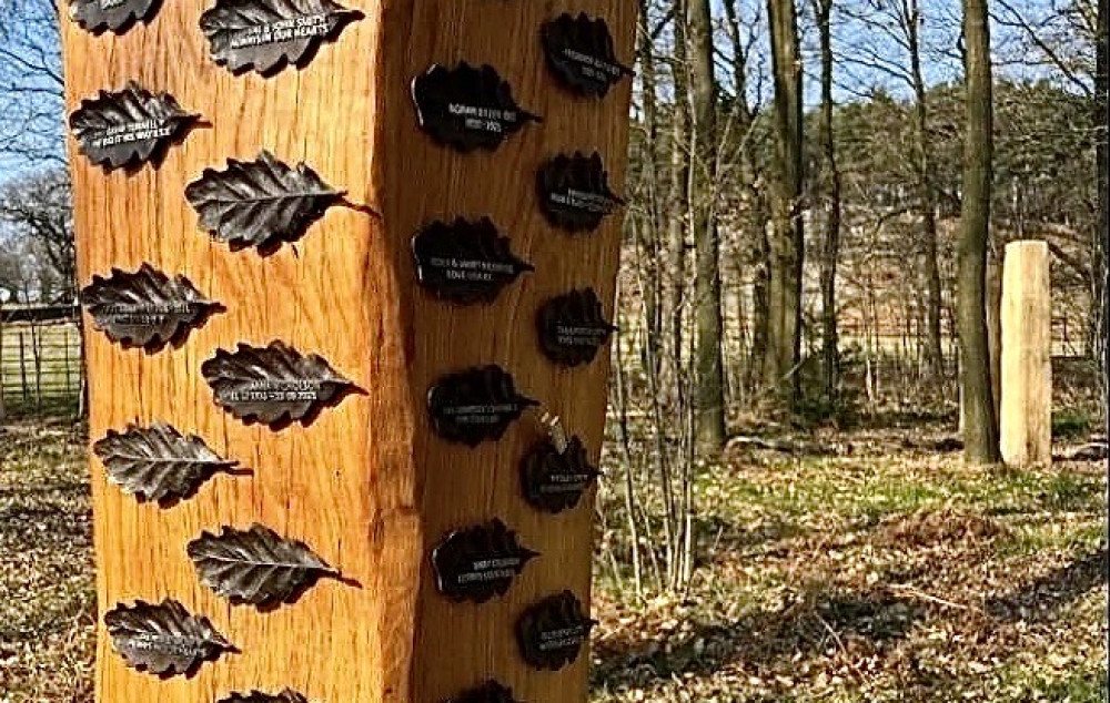 The tree would be similar to this one at Bradgate Park