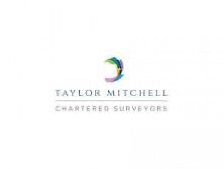 Taylor Mitchell Surveyors 