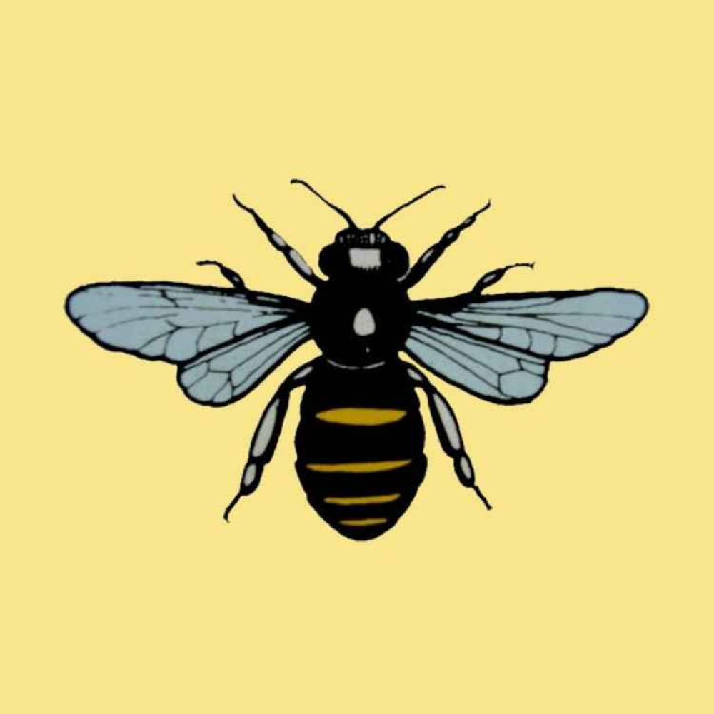 Frodsham gained its bee emblem from a nineteenth century vicar Frodsham gained its bee emblem from a nineteenth century vicar