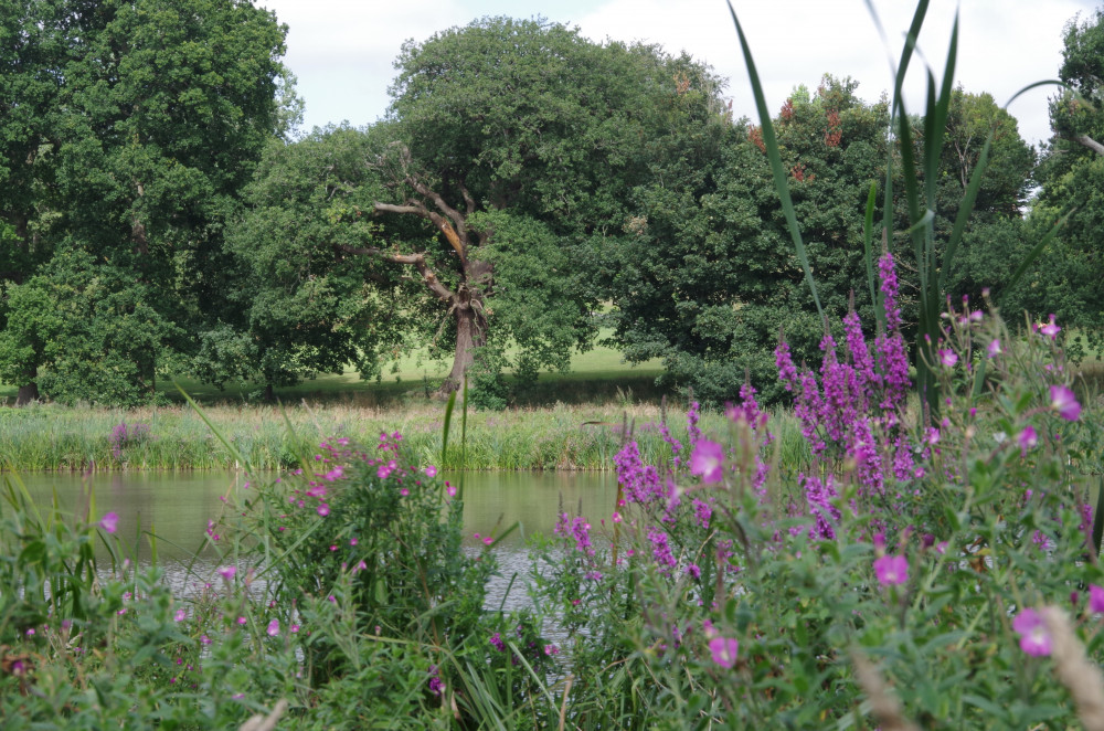 Warwick District Council is close to finishing an executive summary of the Abbey Fields Management Plan (image by Richard Smith)