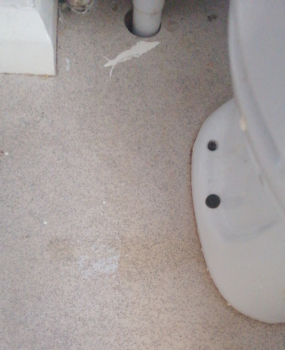 Leaking toilet in Bildeston before repairs (Picture: LDRS)