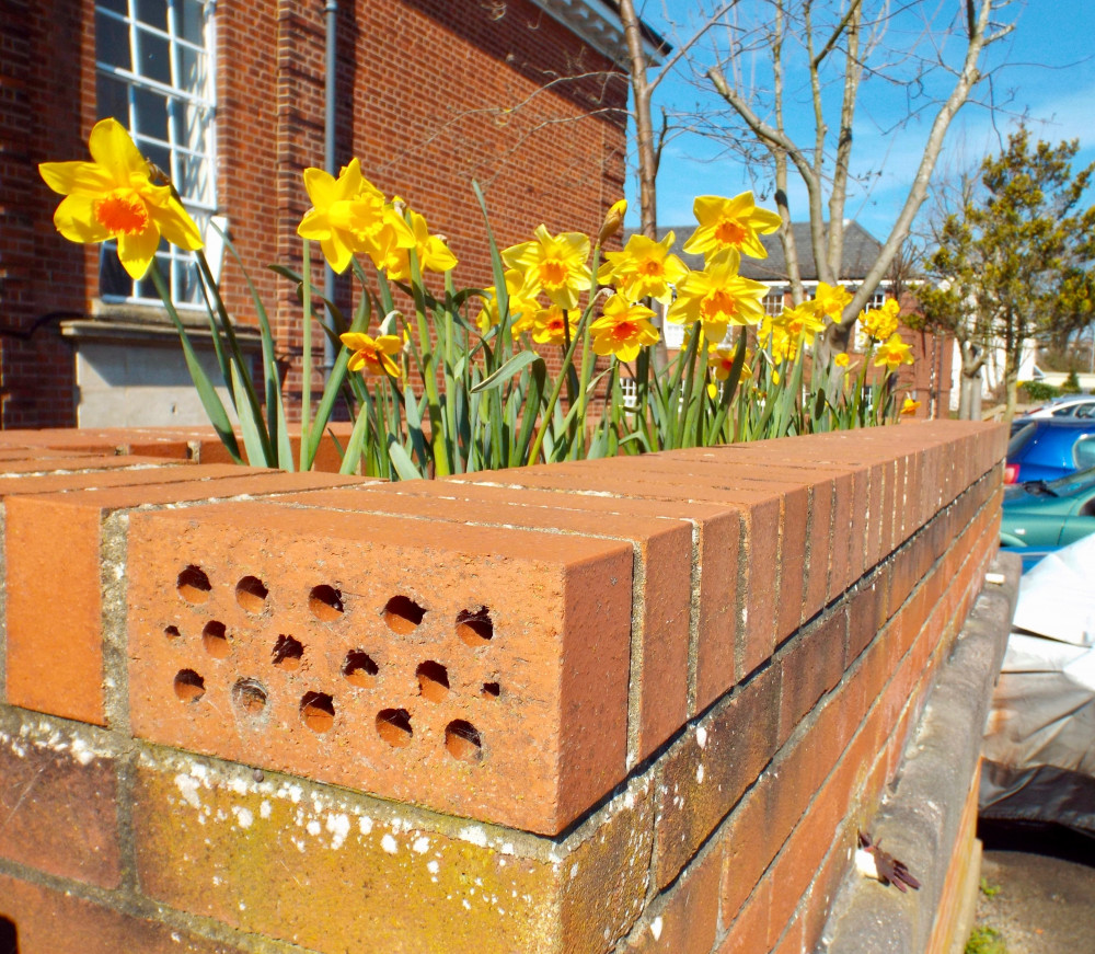 Spring in air (Picture: Nub News)