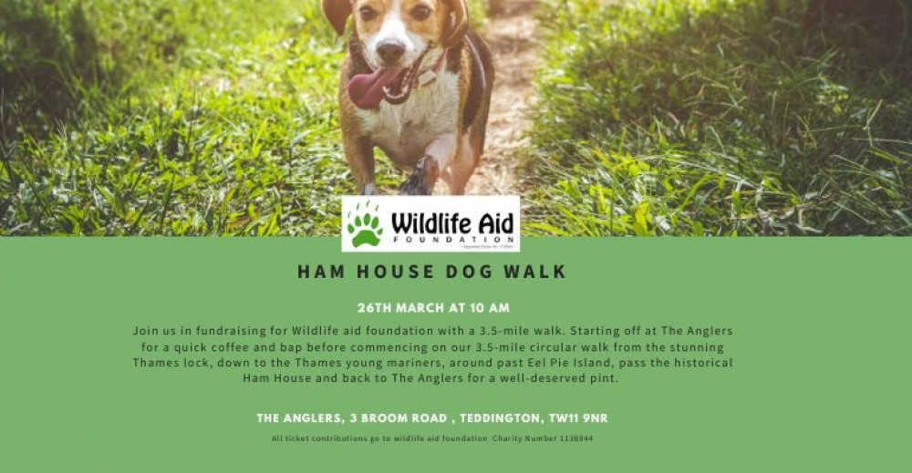 Ham House Charity Dog Walk Ham House Charity Dog Walk
