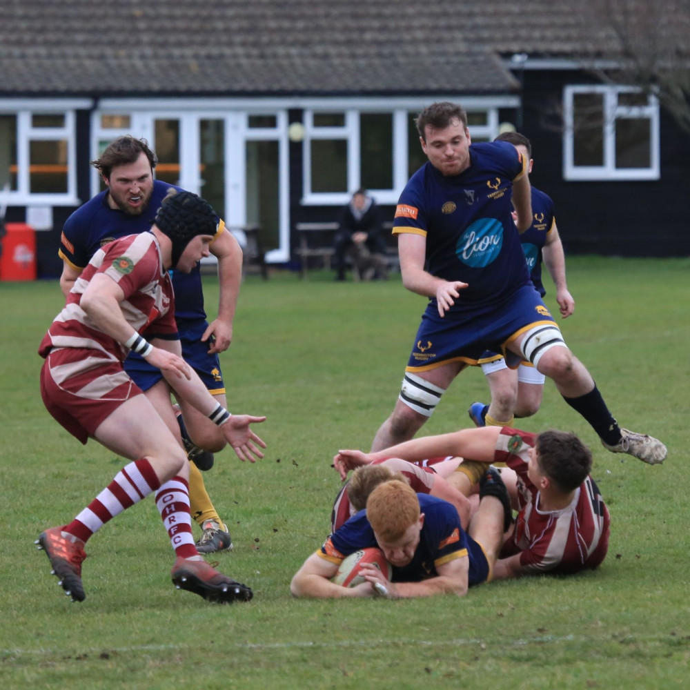 Teddington RFC are one result away from lifting the league title. Photo: Simon Ridler.