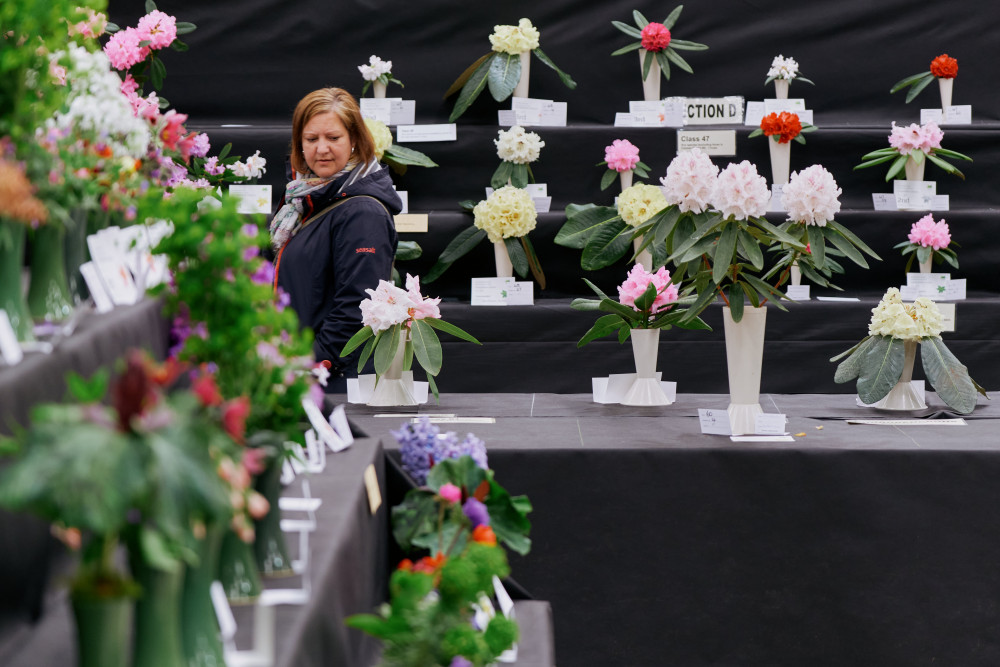 Competitive Classes at the show (Image: Ian Kingsnorth) 