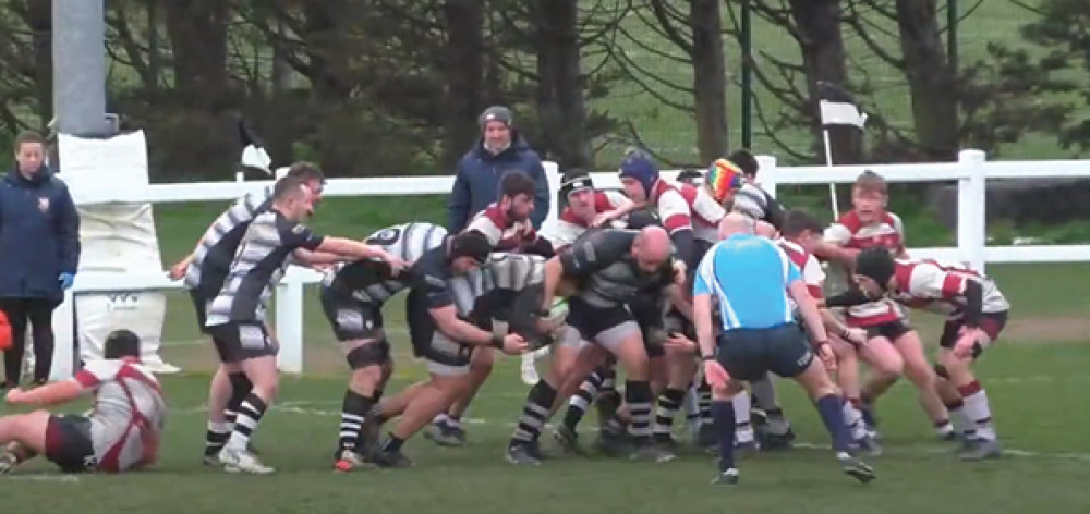 A bloat of hippopotami! Commentator Ralph Henderson's colourful injection as Thurrock's pack drove over for a try to give them the lead just before half time. Sadly Brentwood responded with a rapier like thrust following a turnover to regain the lead quickly. 