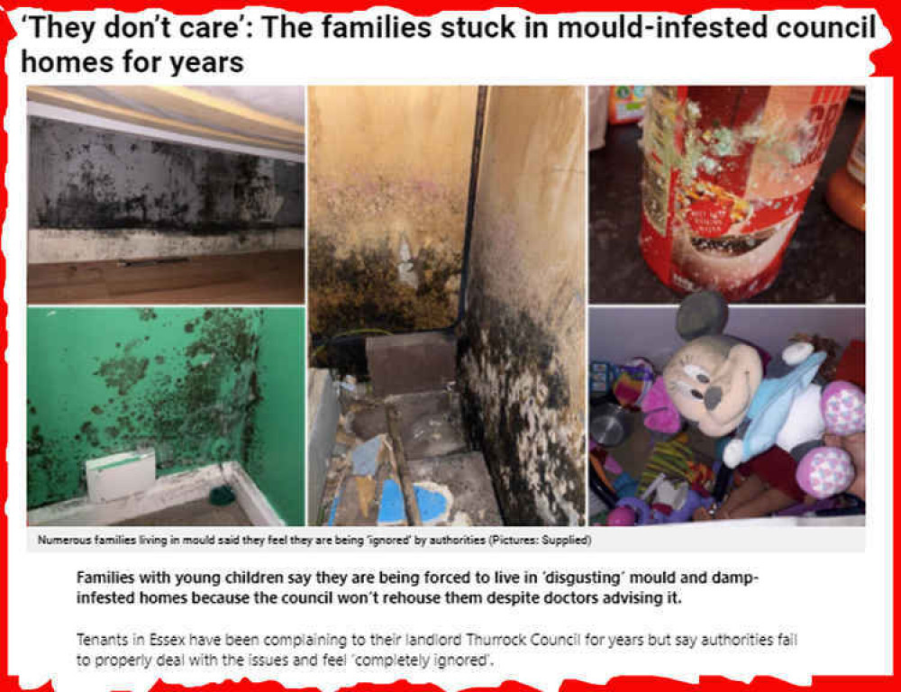 Thurrock Nub News has highlighted many cases of problems with damp and mould across Thurrock Council properties. 