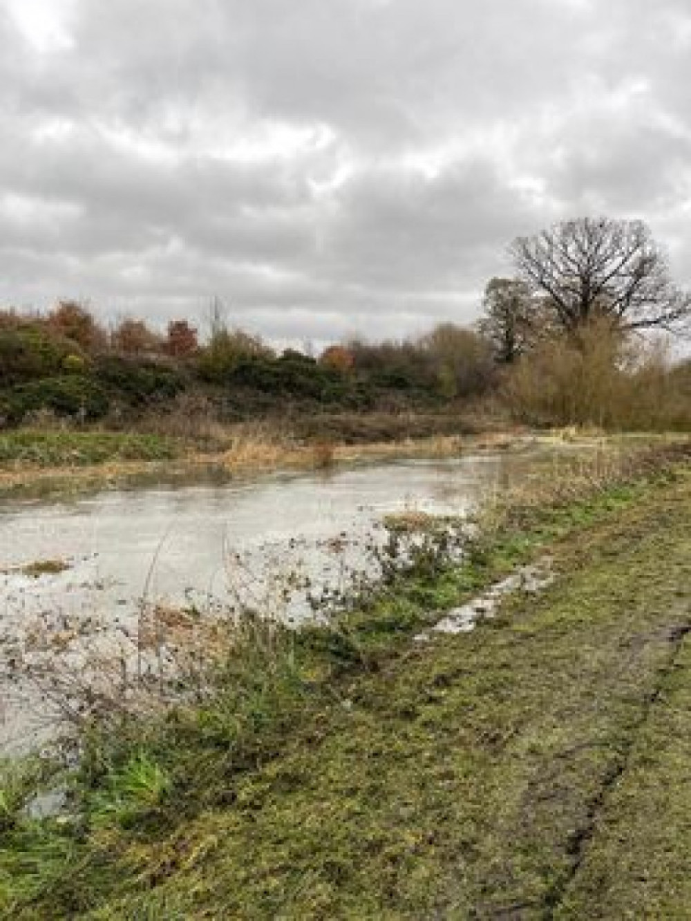 The Mardyke near North Stifford