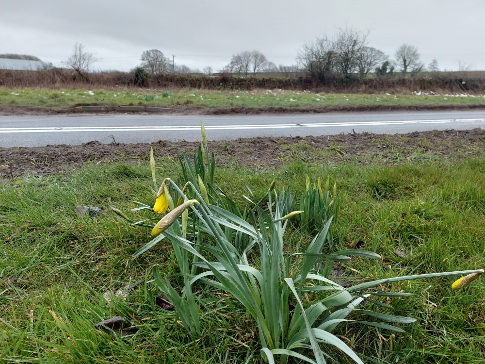 Keeping up with local weather is tricky. Last of the snow around Frome on Thursday Keeping up with local weather is tricky. Last of the snow around Frome on Thursday