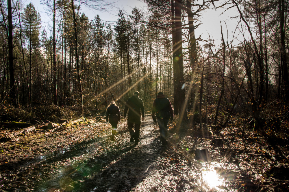 While the midlands boasts a host of green areas, the climate crisis remains an area of anxiety for young people. Image credit: the Woodland Trust. 