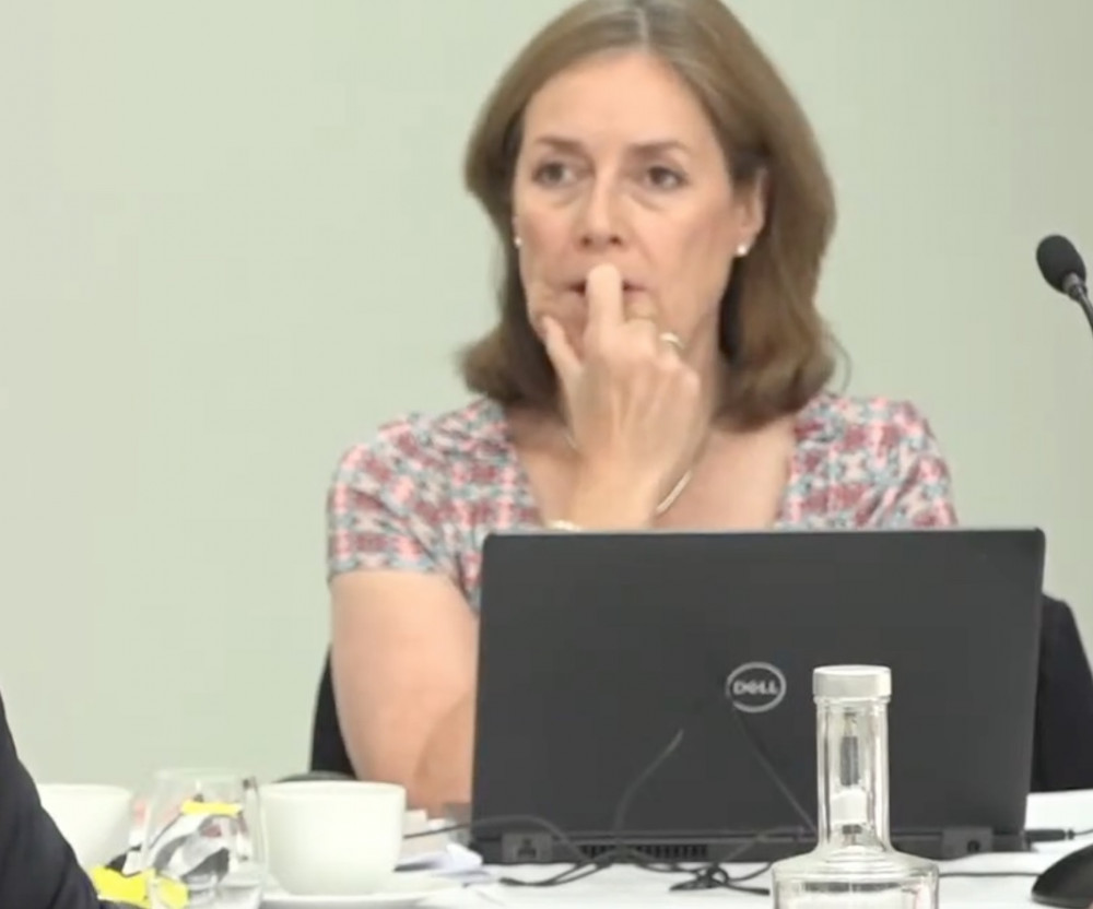 Cllr Sian Dawson lied (Picture: YouTube/Babergh)