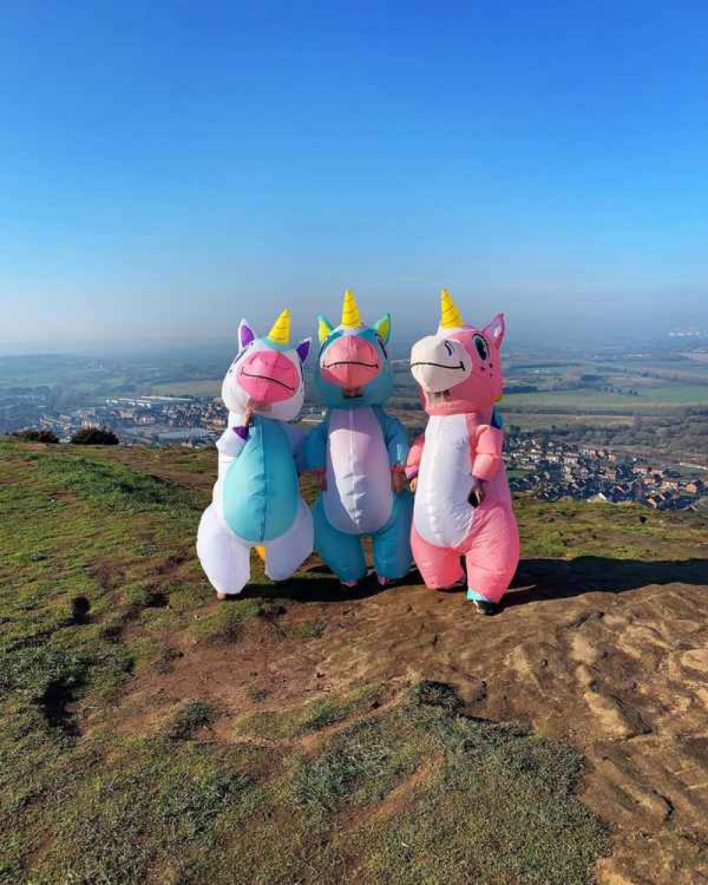 Helsby's unicorns are back, with a friend! Image: Kerry James Helsby's unicorns are back, with a friend! Image: Kerry James