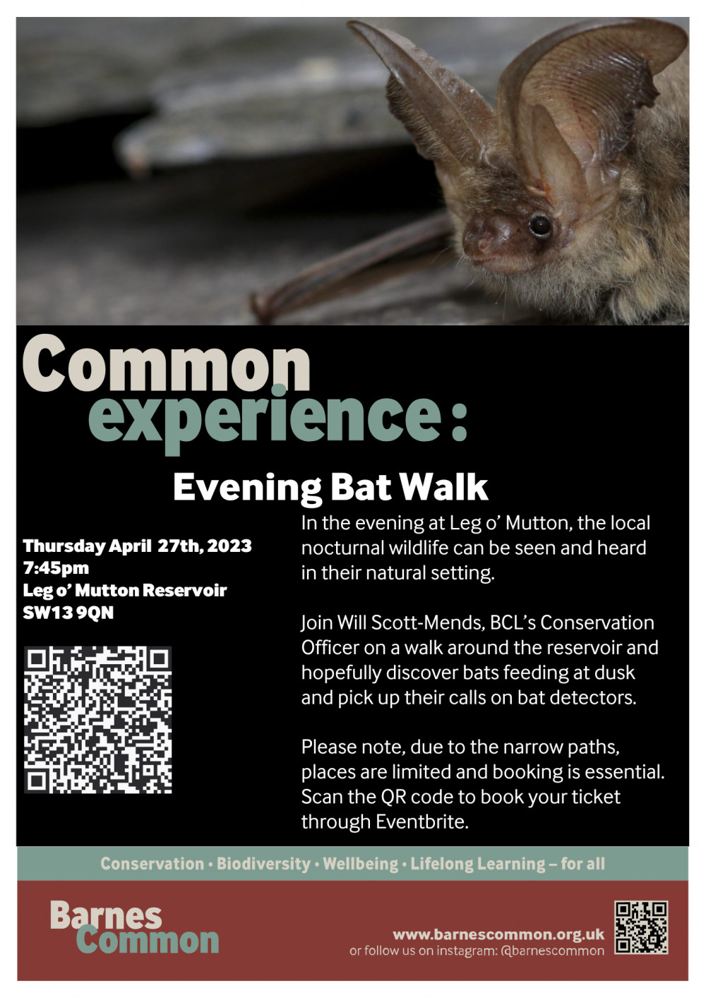 Evening Bat walk at Leg o'Mutton Evening Bat walk at Leg o'Mutton