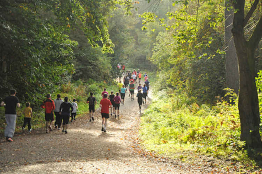 Delamere parkrun will return in June Delamere parkrun will return in June