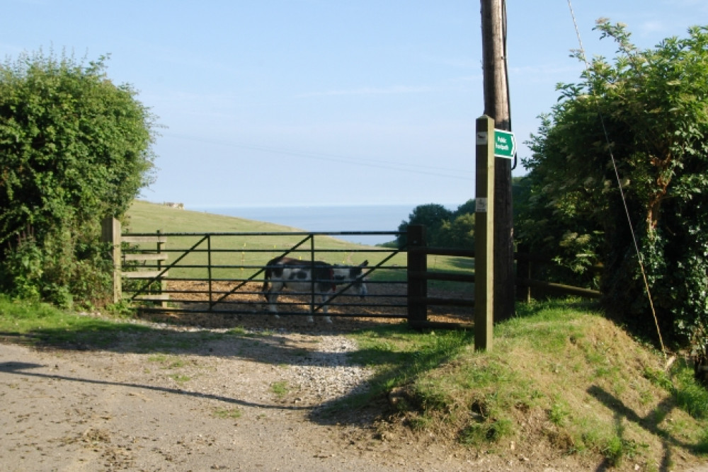 The Donkey Sanctuary, Sidmouth (cc-by-sa/2.0 - © Kevin Hale - geograph.org.uk/p/195528)