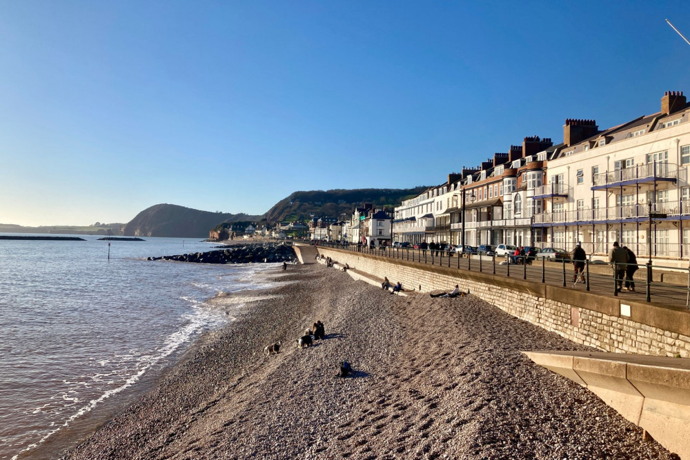 Sidmouth town beach (Nub News/ Will Goddard)