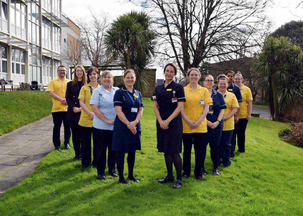 The specialist dementia and delirium teams 