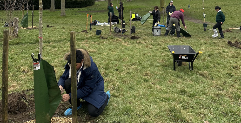 Students plant Elm trees in Brockwell Park