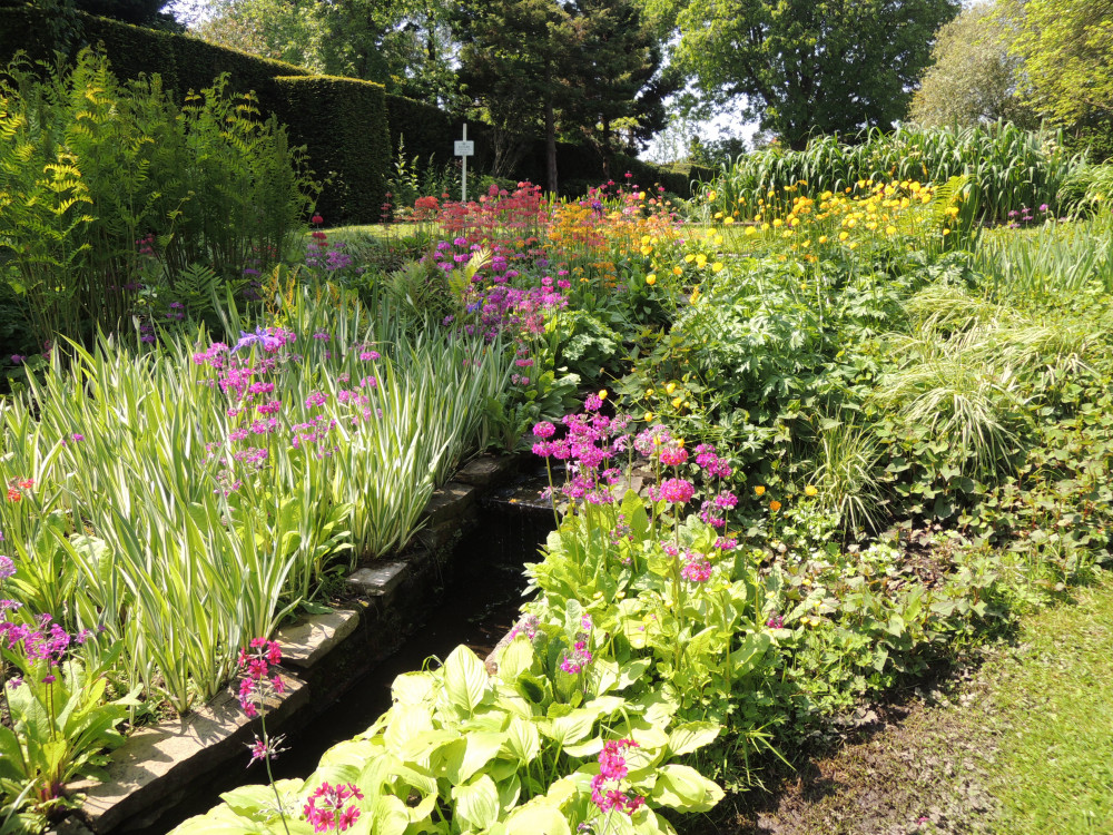 Place for plants (Picture: St Elizabeth Hospice)