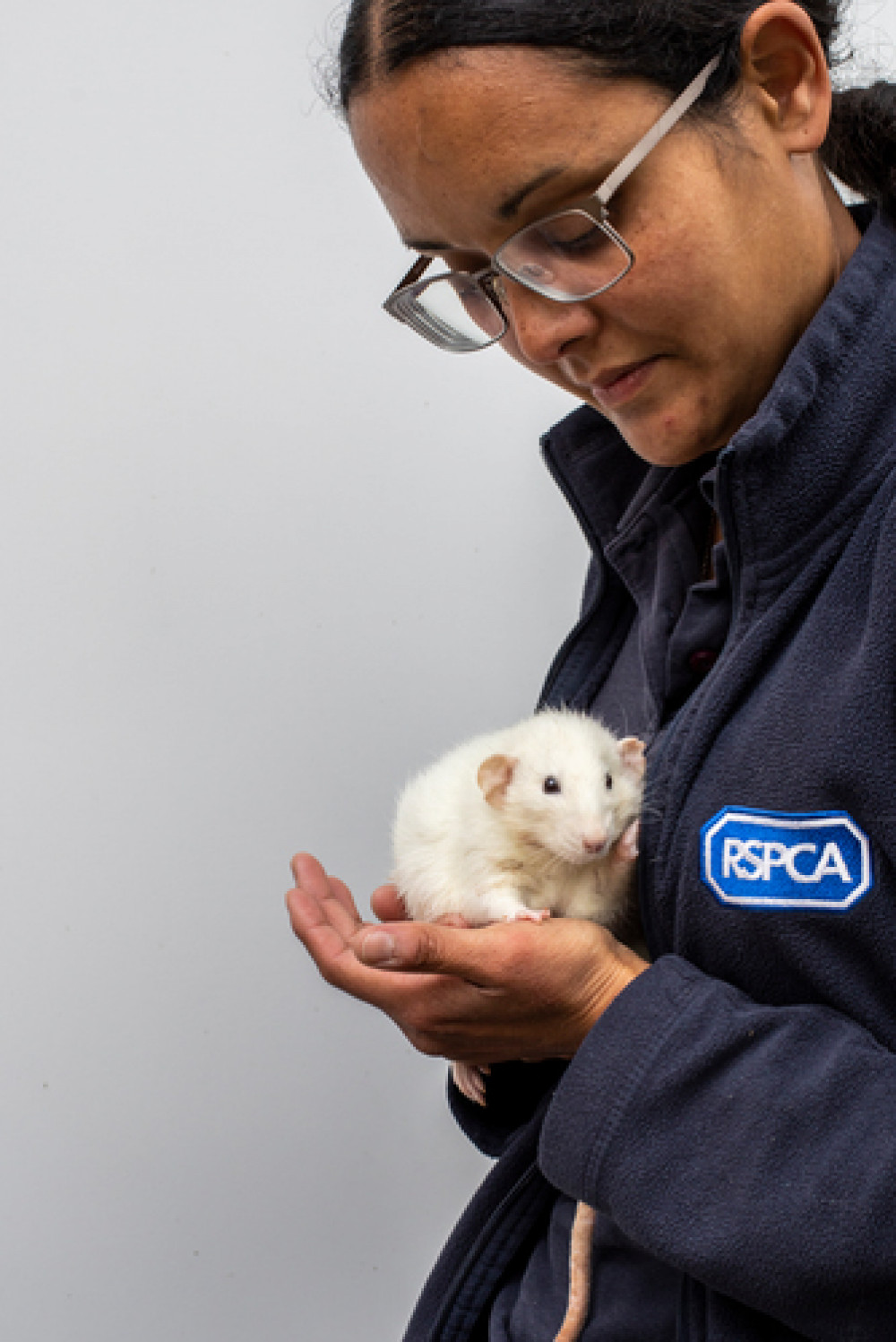 Photo: RSPCA 