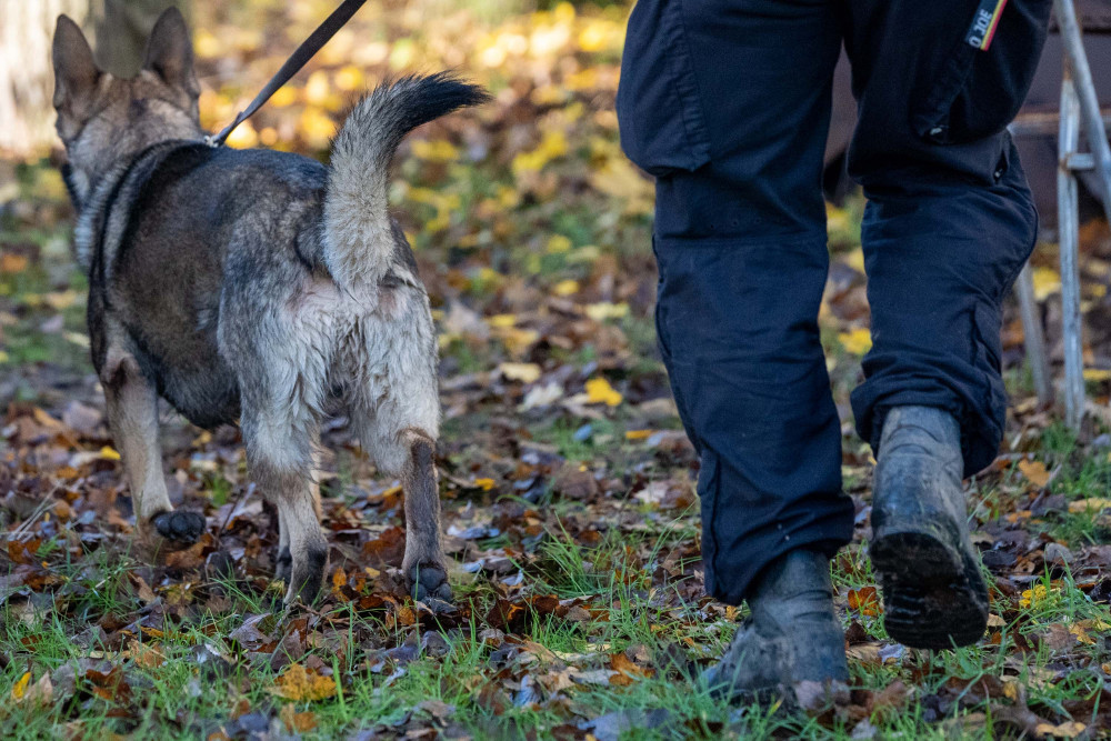 Police dog played a part in catching violent robbers