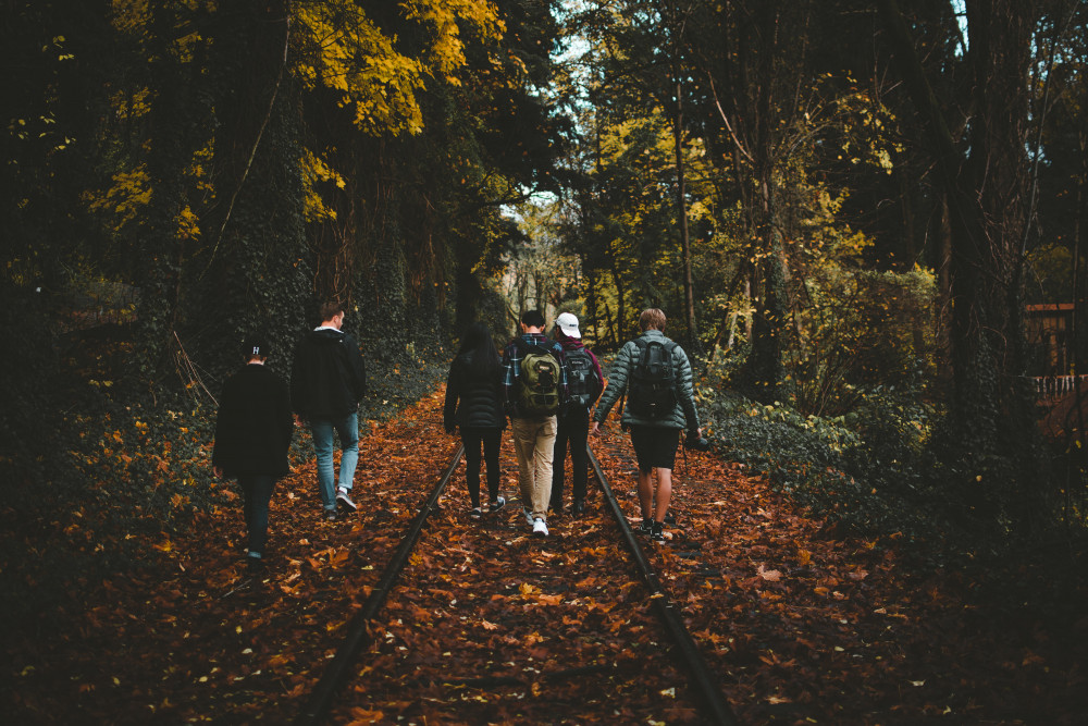 West Mendip Walkers May Walk Programme West Mendip Walkers May Walk Programme