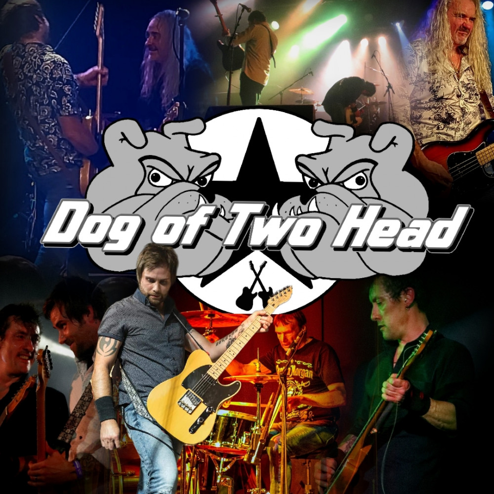 Dog of Two Head