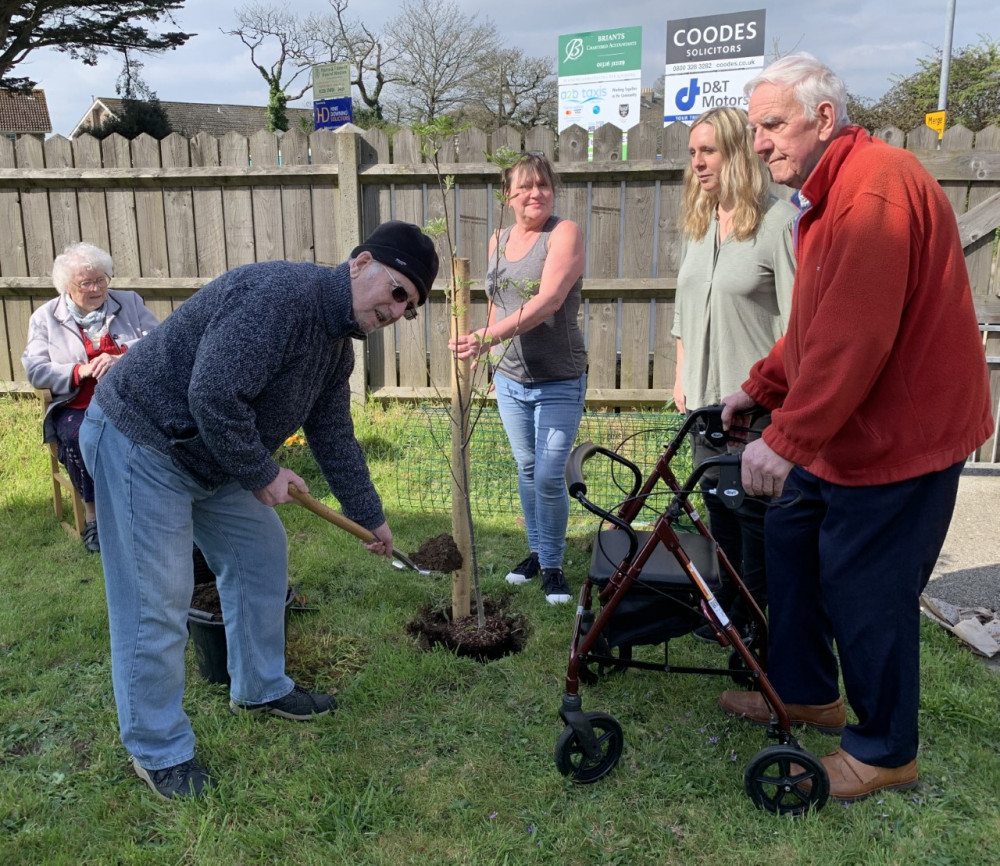 The second tree planted at Age Uk (Image: Cllr Dean Evans) 