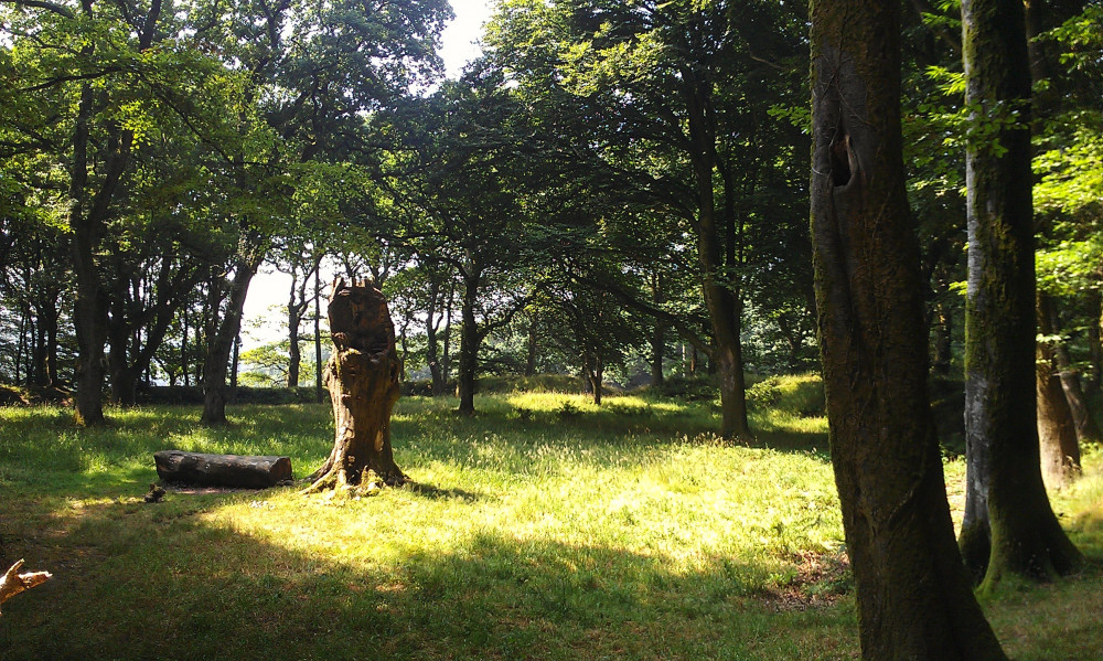 Blackbury Camp interior (By Ethan Doyle White, CC BY-SA 3.0, https://commons.wikimedia.org/w/index.php?curid=44334926) Blackbury Camp interior (By Ethan Doyle White, CC BY-SA 3.0, https://commons.wikimedia.org/w/index.php?curid=44334926)