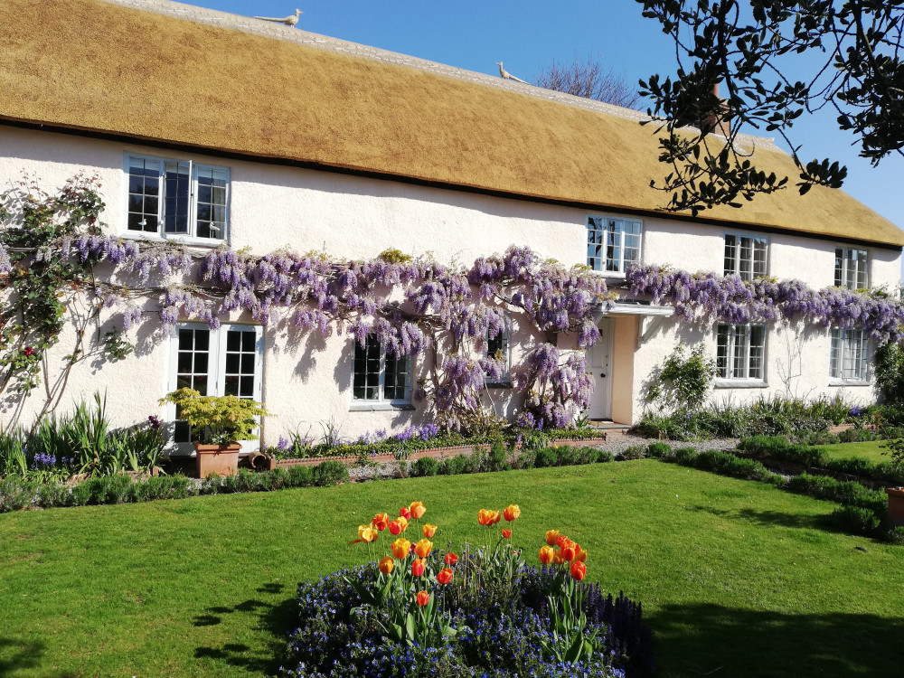 Whether it's for one day or for the whole summer season, the money you raise by sharing your garden can help to support people living with illness. Whether it's for one day or for the whole summer season, the money you raise by sharing your garden can help to support people living with illness.