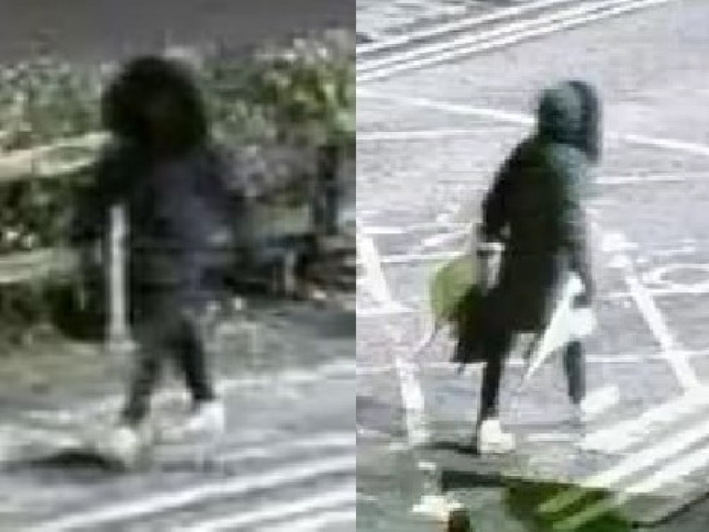 CCTV appeal after suspected arson in Letchworth CCTV appeal after suspected arson in Letchworth