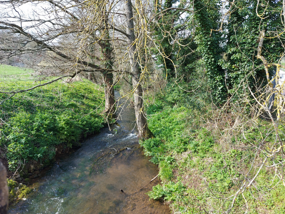 Elections in Radstock too