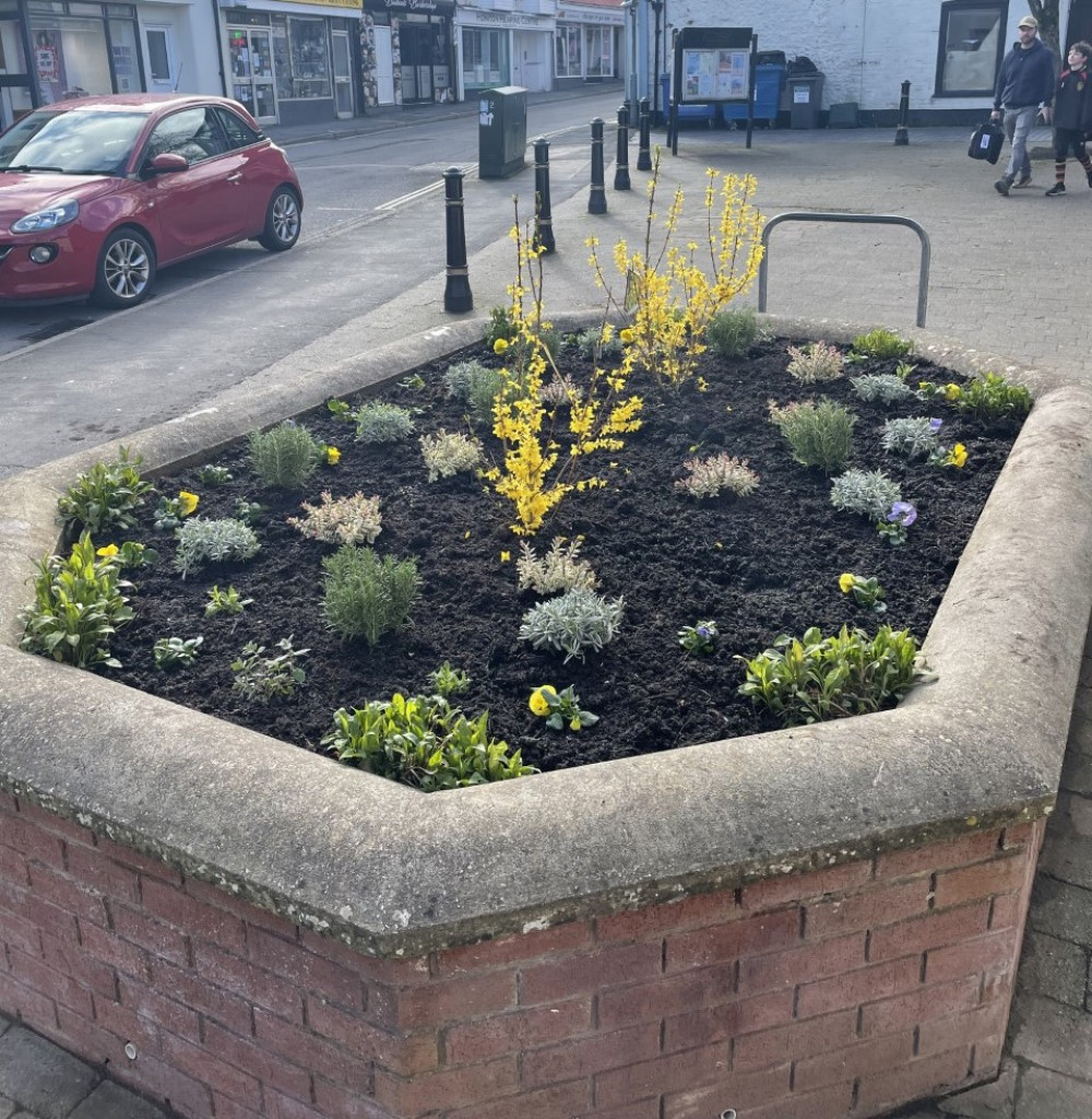 The walled garden on New Street (Honiton British Legion)